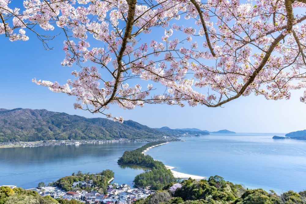 介绍推荐的樱花景点