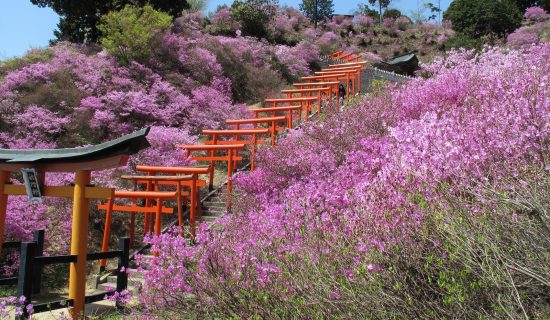 Photo Gallery | Mercure Kyoto Miyazu Resort & Spa
