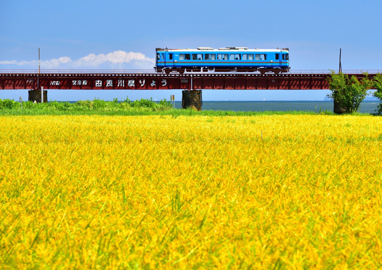 Ride on Tantetsu and enjoy plenty! A two-day trip to Miyazu, Mercure.