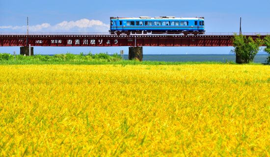 Ride on Tantetsu and enjoy plenty! A two-day trip to Miyazu, Mercure.