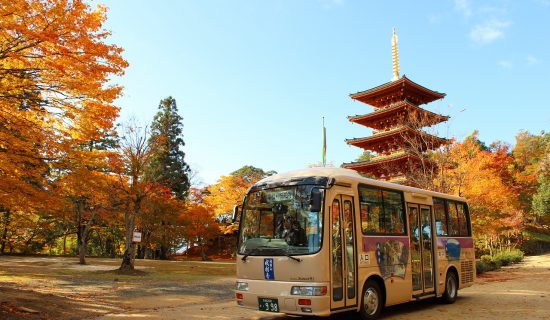 Recommended autumn leaves spots