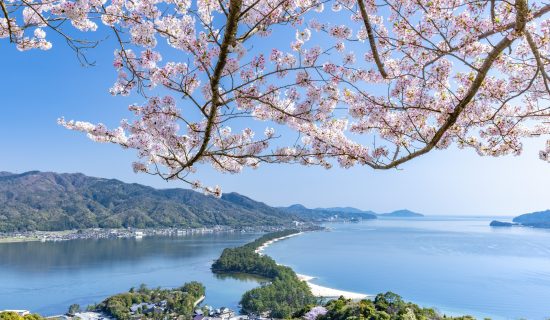 Introduction of recommended cherry blossom spots