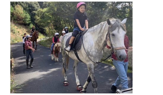 Horseback riding event at hotel for memories of spring break