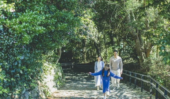 【초등학생・유아 무료】푸른 바다와 섬의 초록, 다이묘몬교에 가라앉는 석경 올 인클루시브에서 만끽 <조식사>