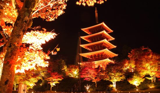 照片畫廊|京都宮津美居溫泉度假酒店