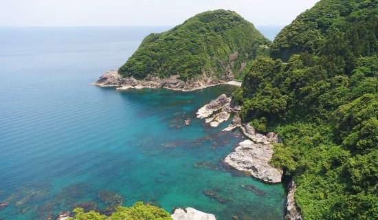 照片畫廊|京都宮津美居溫泉度假酒店