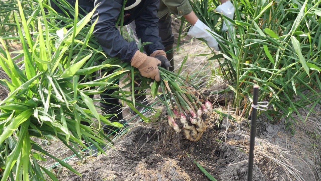 享受秋天收穫體驗的住宿計畫