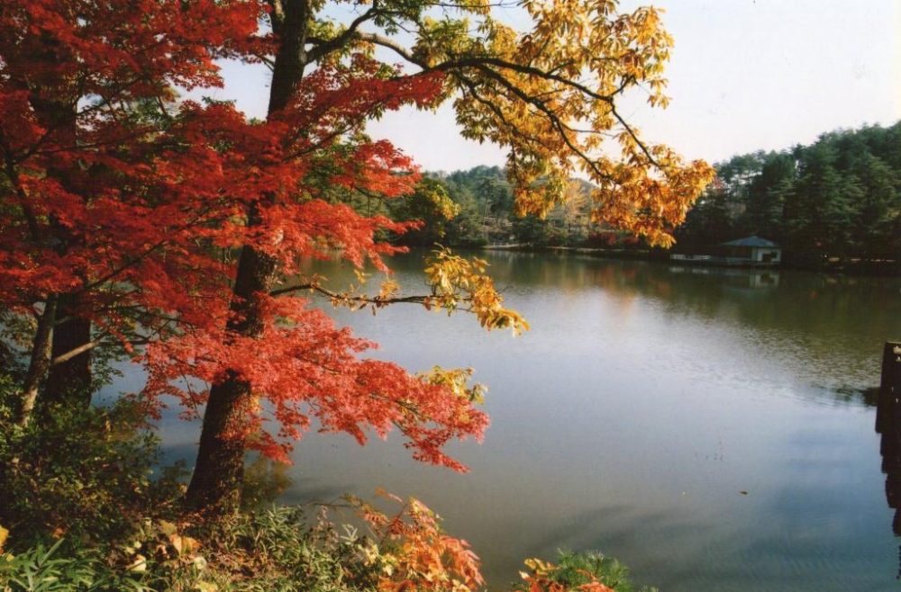福知山三段池公園