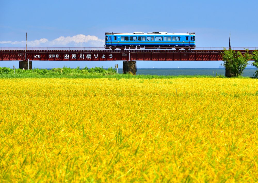 丹鉄に乗って、たっぷり満喫！ 京都丹後鉄道2日間 乗り放題乗車券付き宿泊プラン