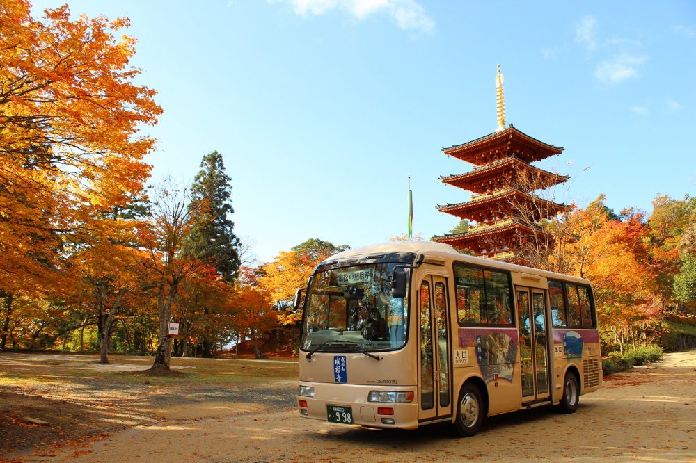 おすすめ紅葉スポットをご紹介