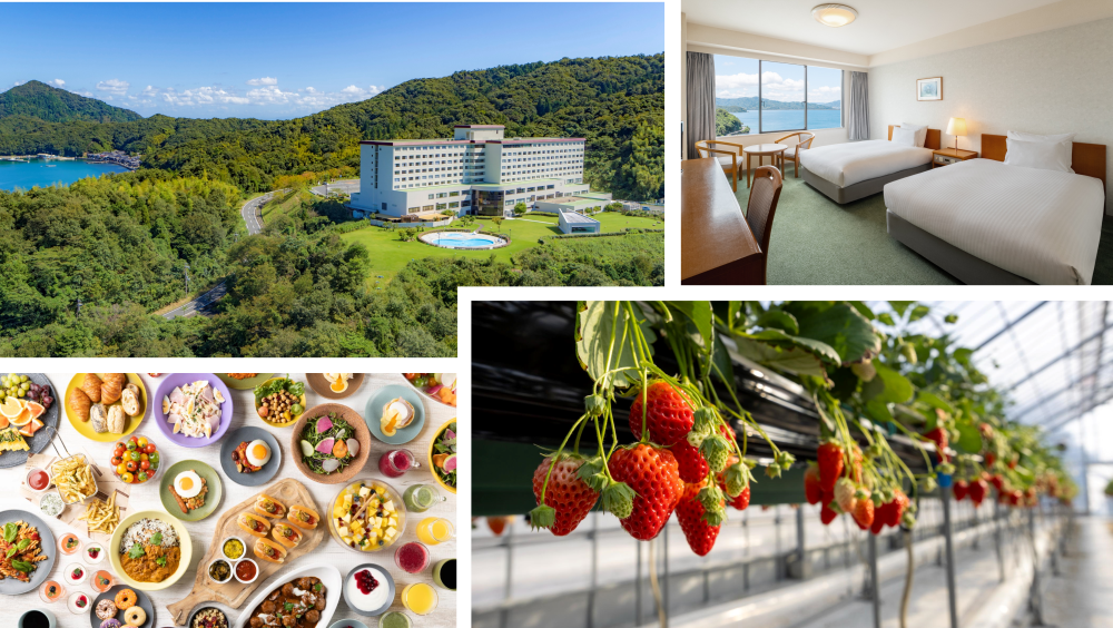 【關西地區限定】和家人一起享受的包羅萬象最大20%折扣計畫