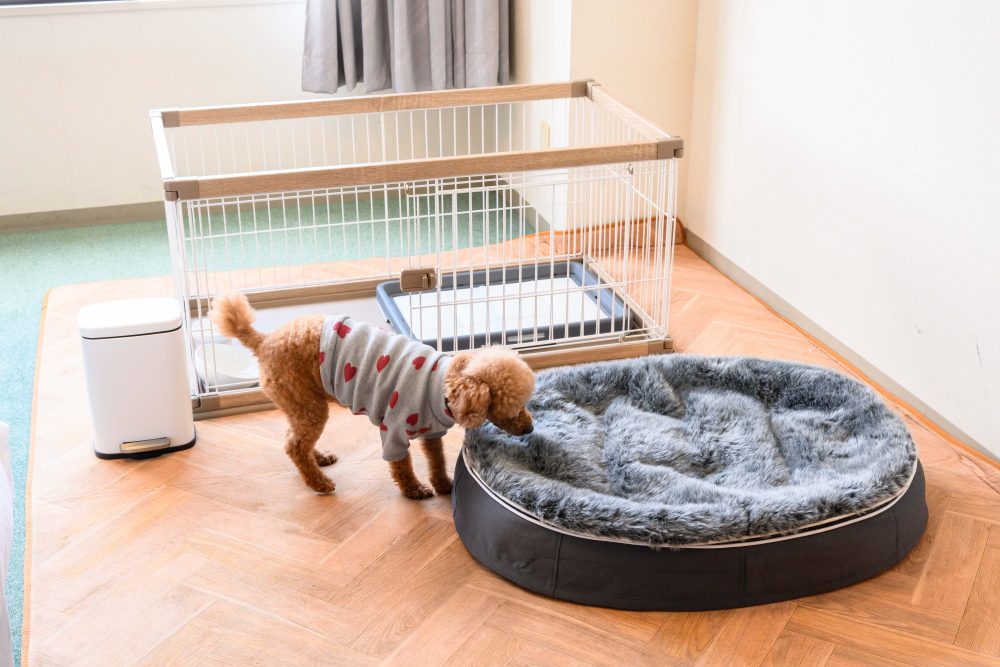 客室画像｜メルキュール京都宮津リゾート＆スパ